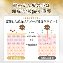 画像をギャラリービューアに読み込む, Lixスカルプコンディショナー(200g)