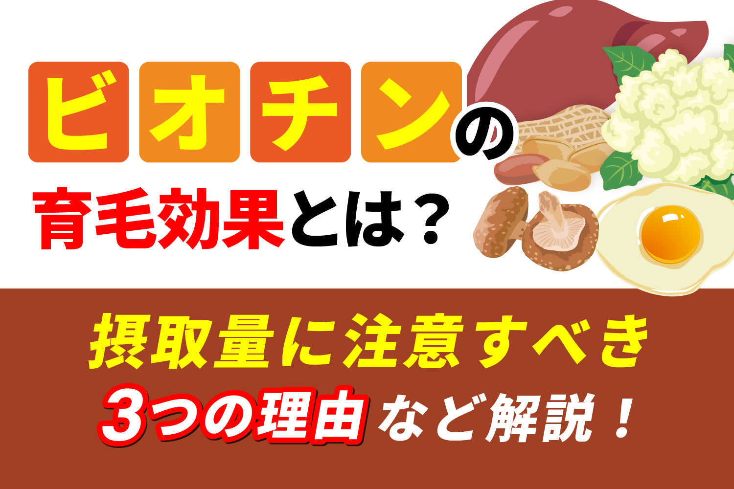 ビオチンの育毛効果とは？摂取量に注意すべき3つの理由など解説！