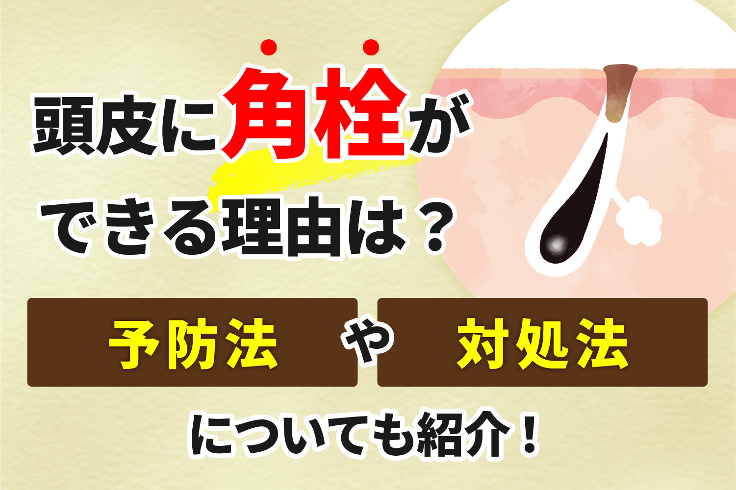 頭皮に角栓ができる原因は？予防法や対処法についても紹介！