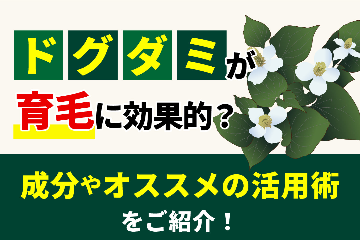 ドクダミが育毛に効果的？成分やおすすめの活用術をご紹介！