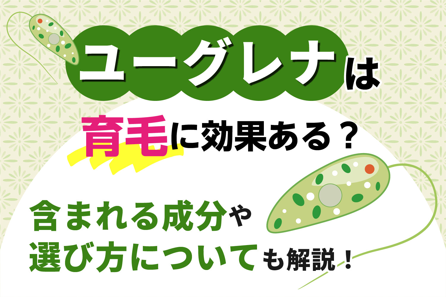 ユーグレナは育毛に効果ある？含まれる成分や選び方についても解説！