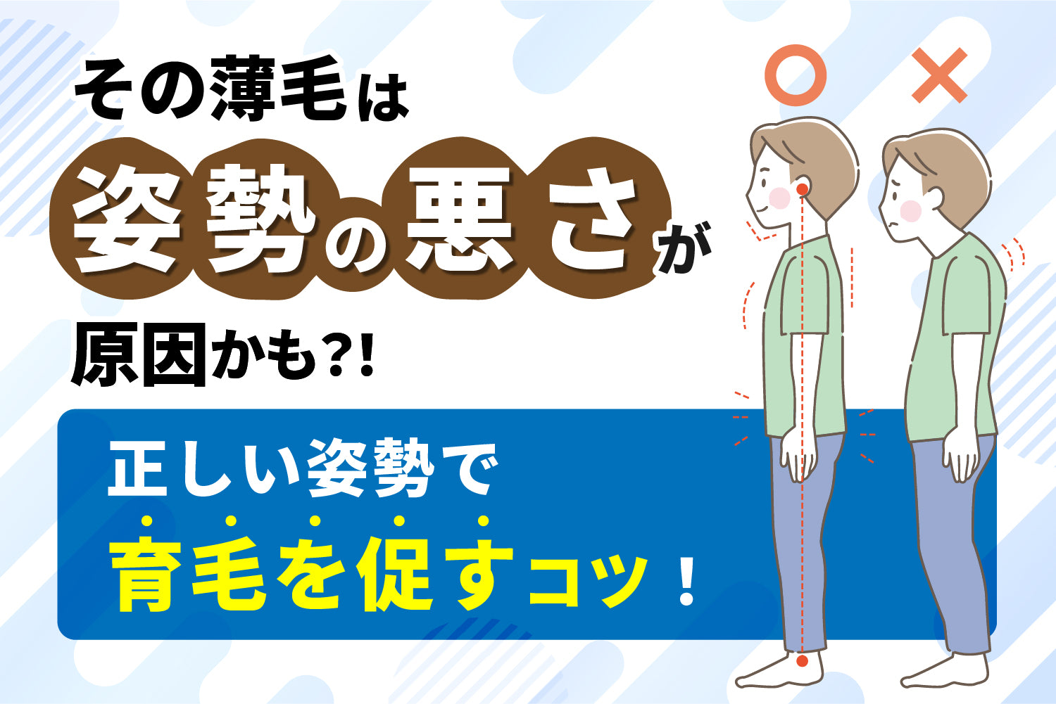 その薄毛は姿勢の悪さが原因かも！？正しい姿勢で育毛を促すコツ！