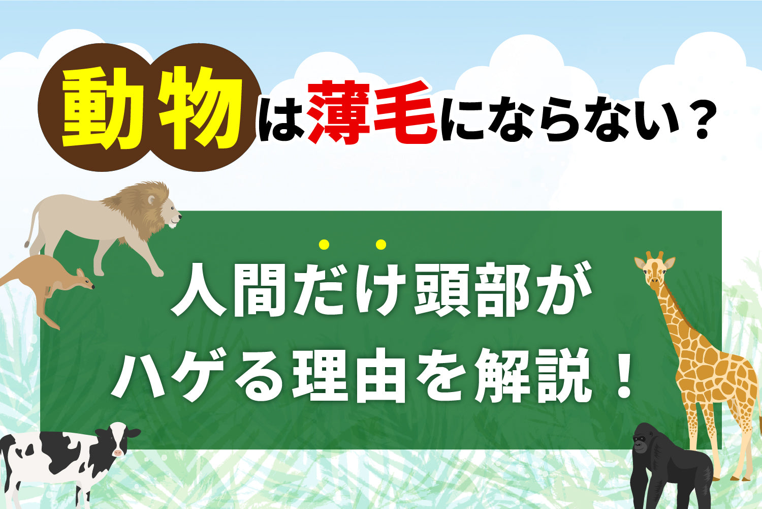 動物は薄毛にならない？人間だけ頭部がハゲる理由を解説！