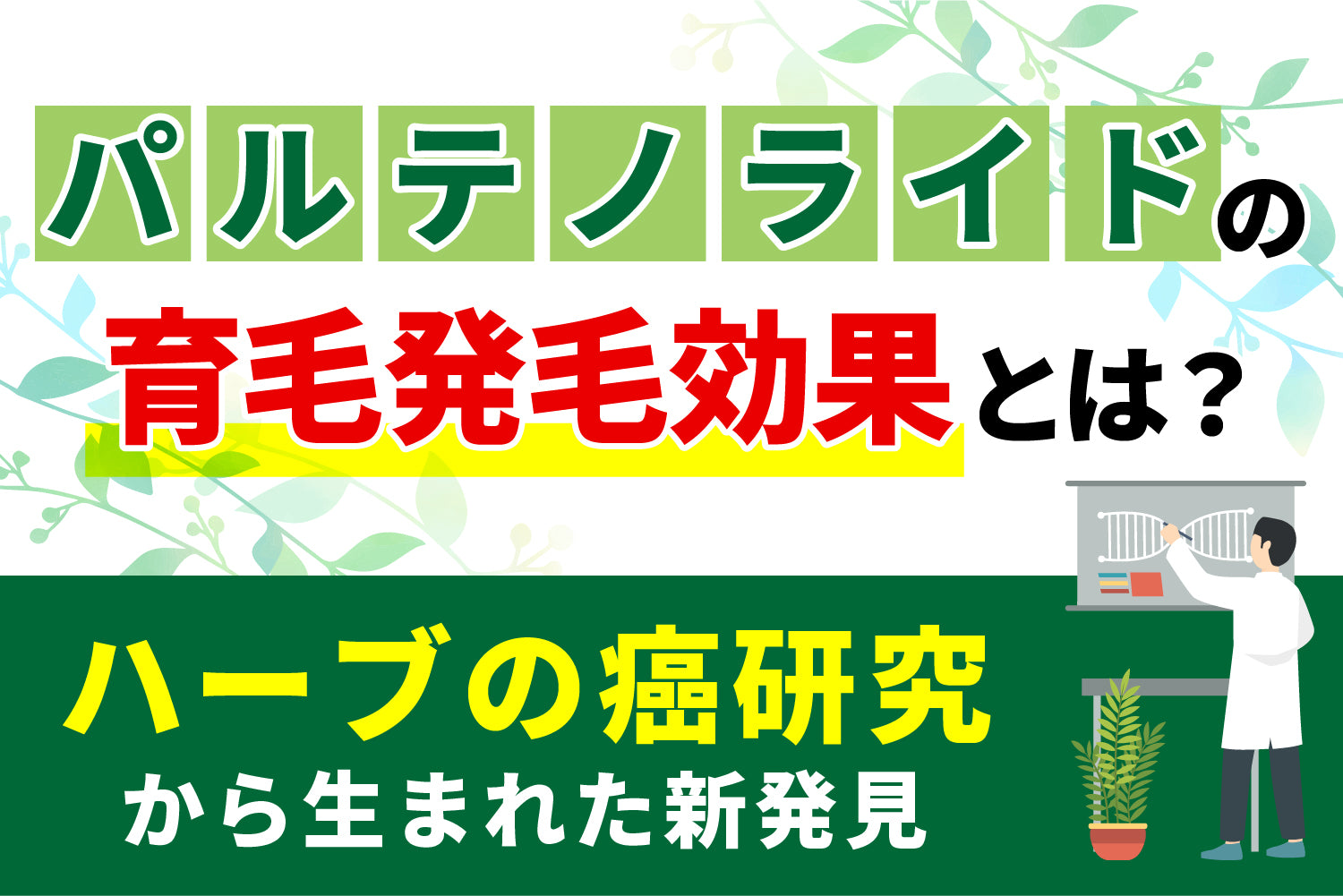 パルテノライドの育毛発毛効果とは？ハーブの癌研究から生まれた新発見