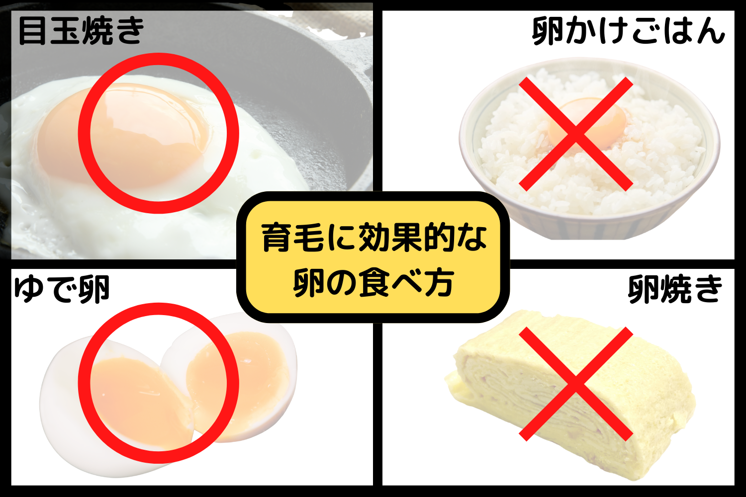 育毛に効果的な卵の食べ方？ゆで卵・卵の殻で薄毛対策