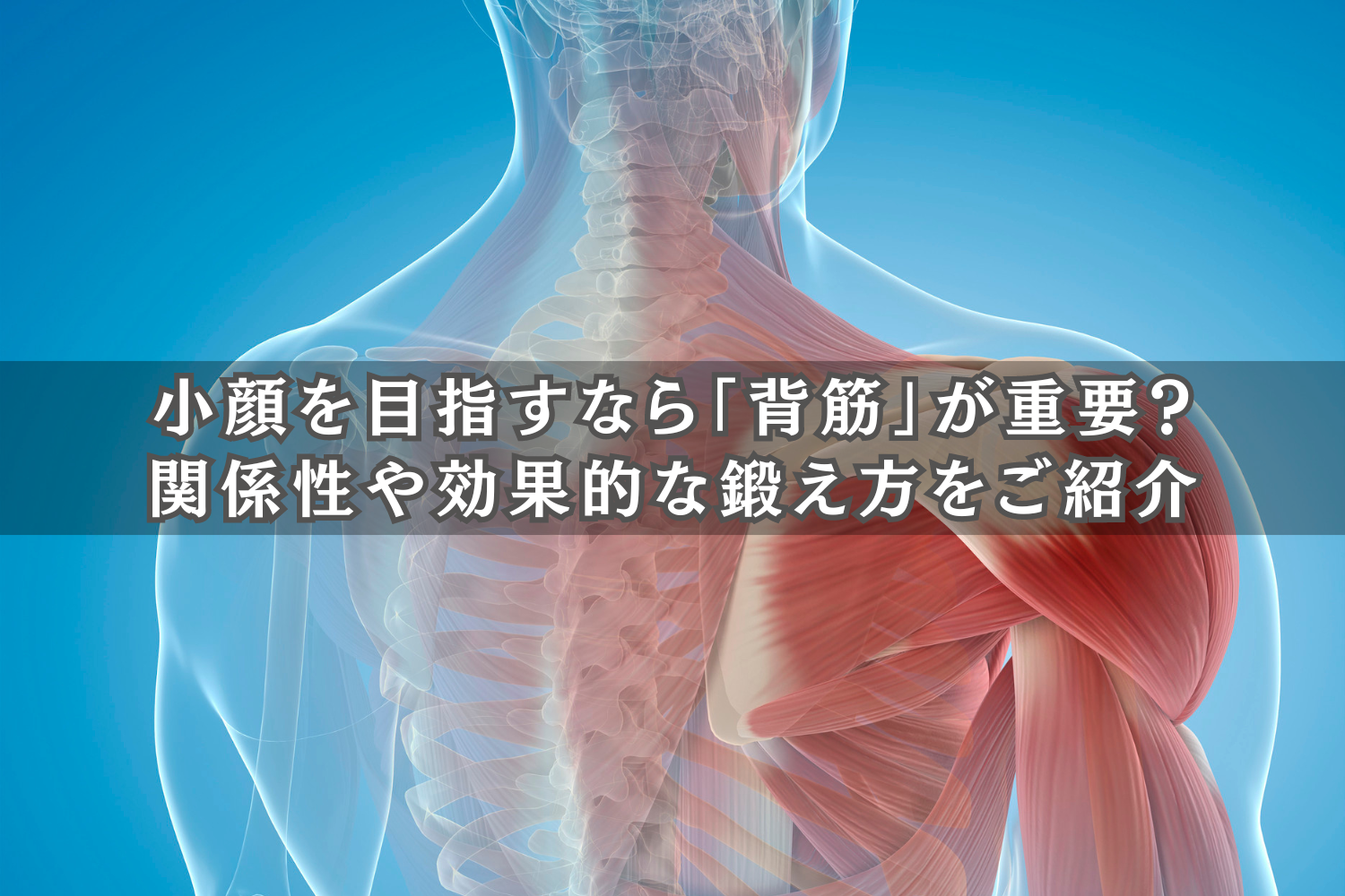 小顔を目指すなら「背筋」が重要？関係性や効果的な鍛え方をご紹介