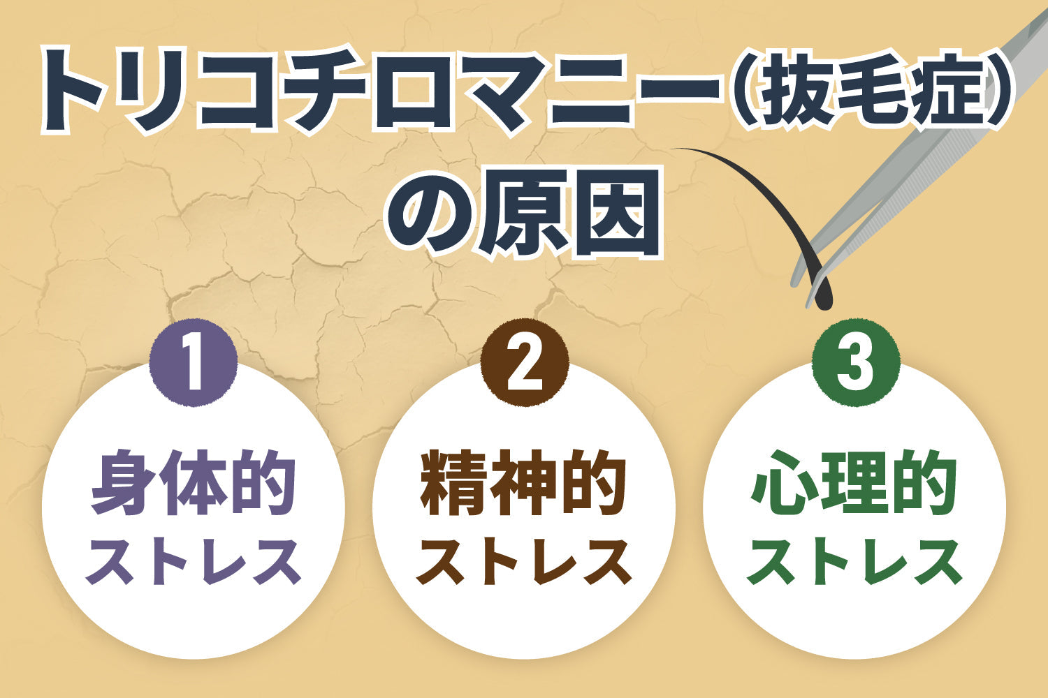 ブログ記事 トリコチロマニー（抜毛症）とは？原因や発毛対策について解説！