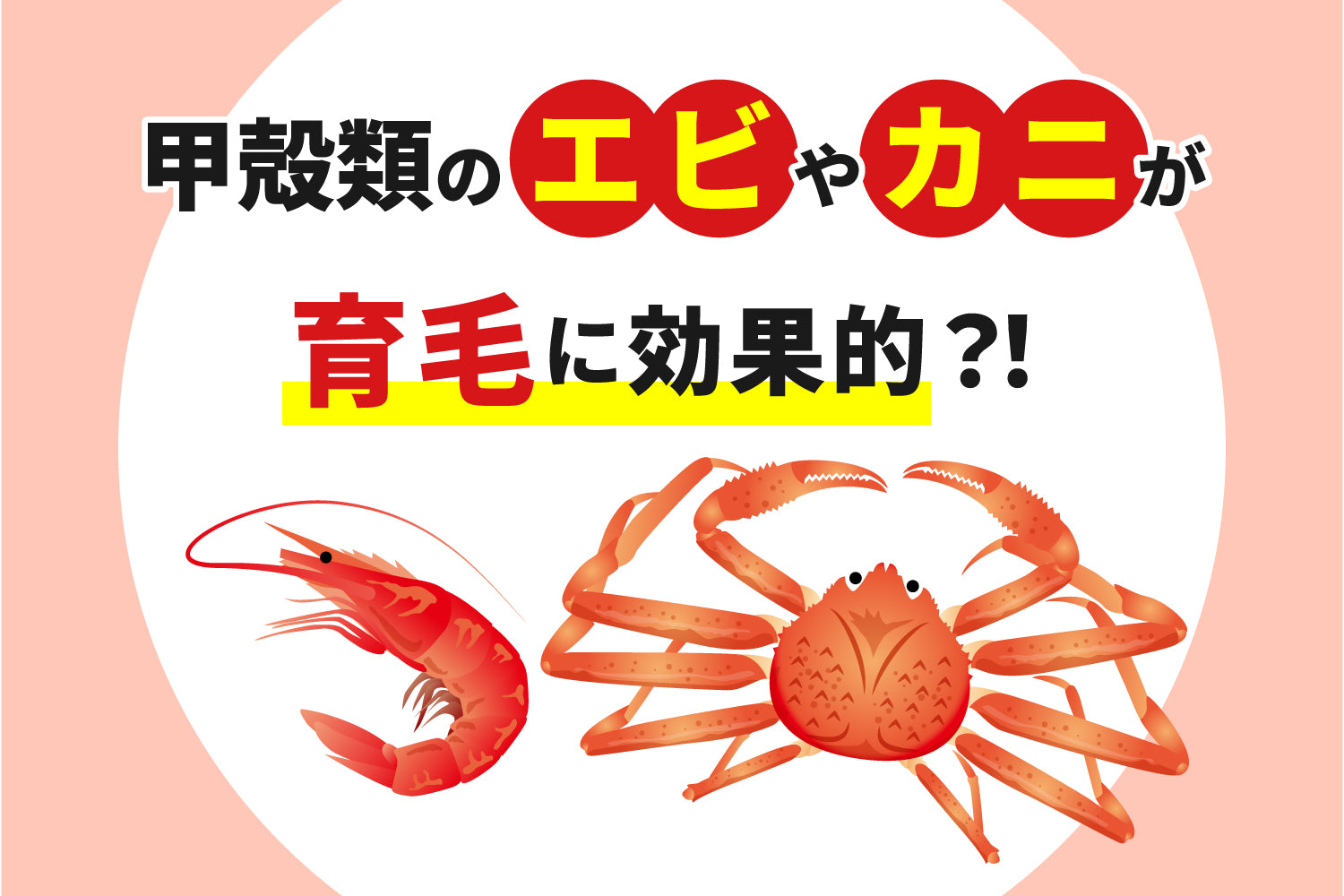 甲殻類のエビやカニが育毛に効果的!?注目の栄養成分やおすすめの食べ方をご紹介 – Lix 公式オンラインショップ