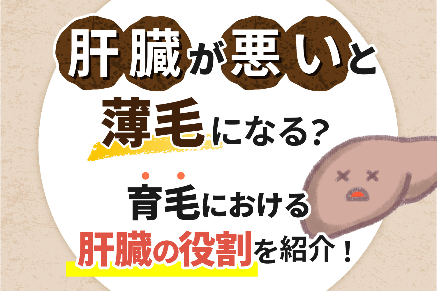 肝臓が悪いと薄毛になる？育毛における肝臓の役割を紹介