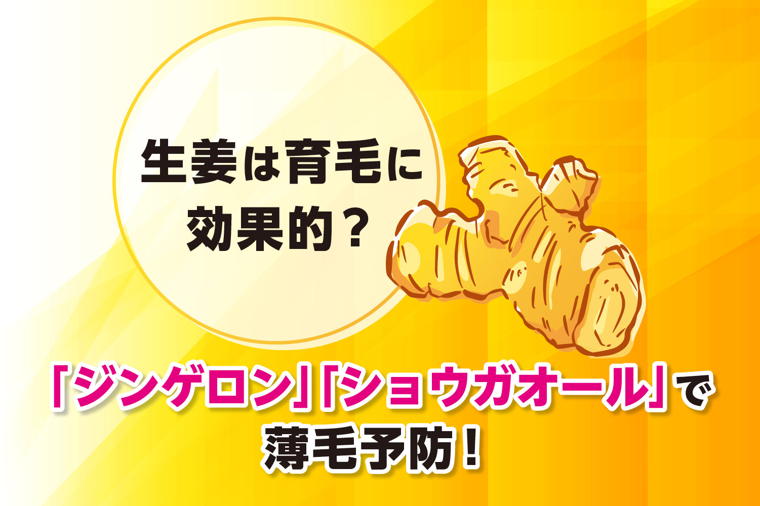 生姜は育毛に効果的？「ジンゲロン」「ショウガオール」で育毛！