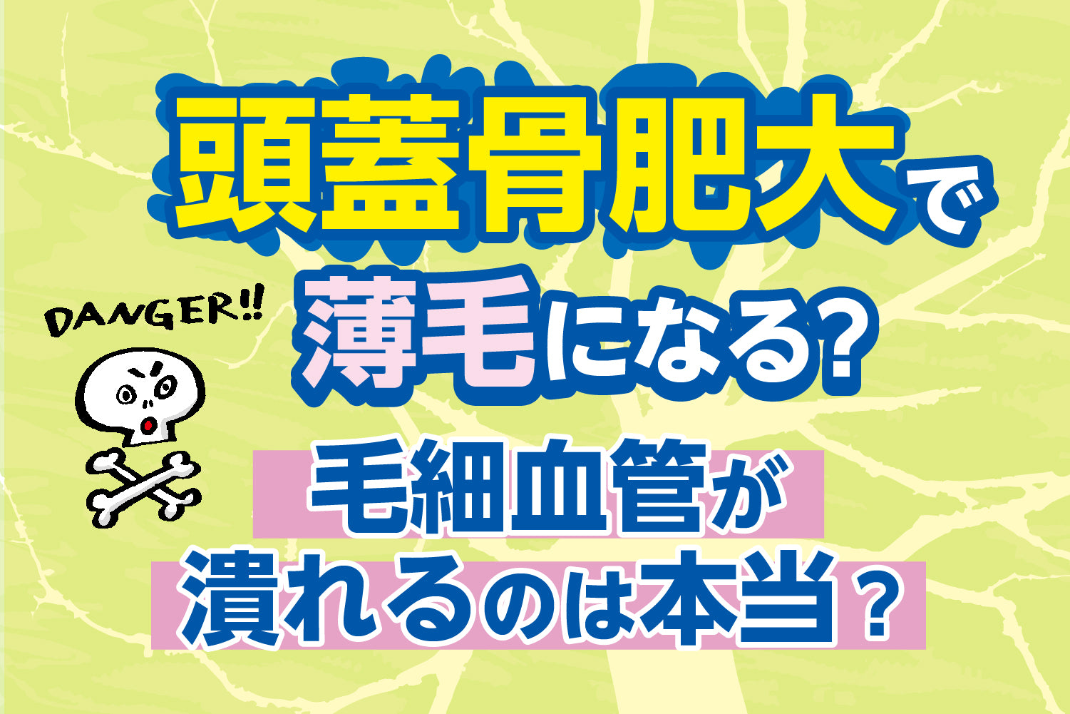 頭蓋骨肥大で薄毛になる？毛細血管が潰れるのは本当？