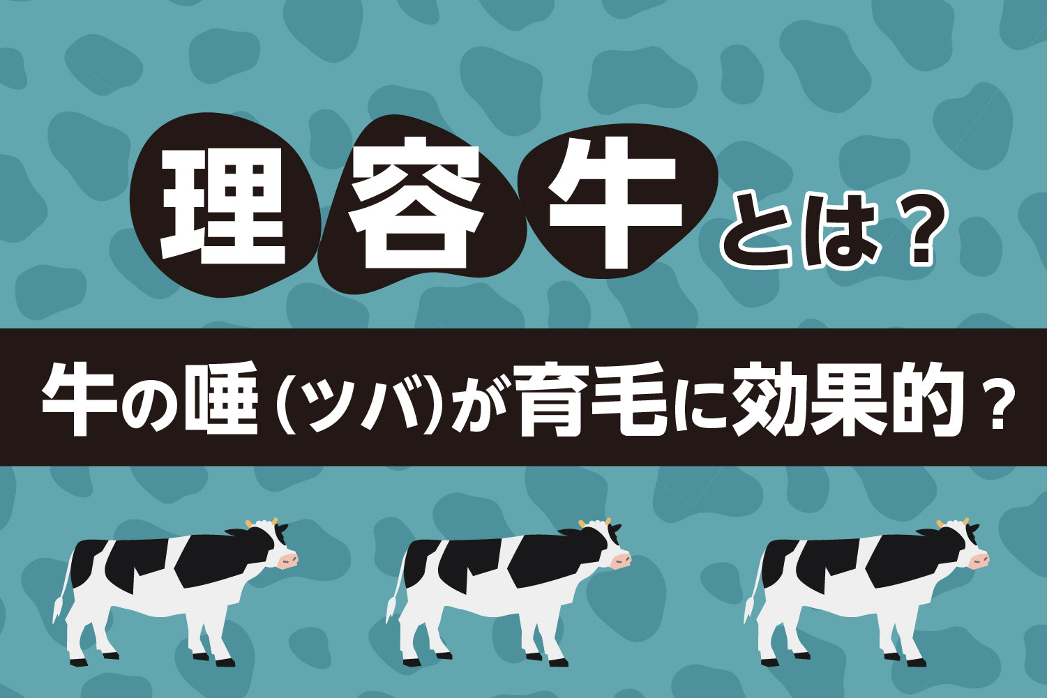 理容牛とは？牛の唾（ツバ）が育毛に効果的？その理由を解説！