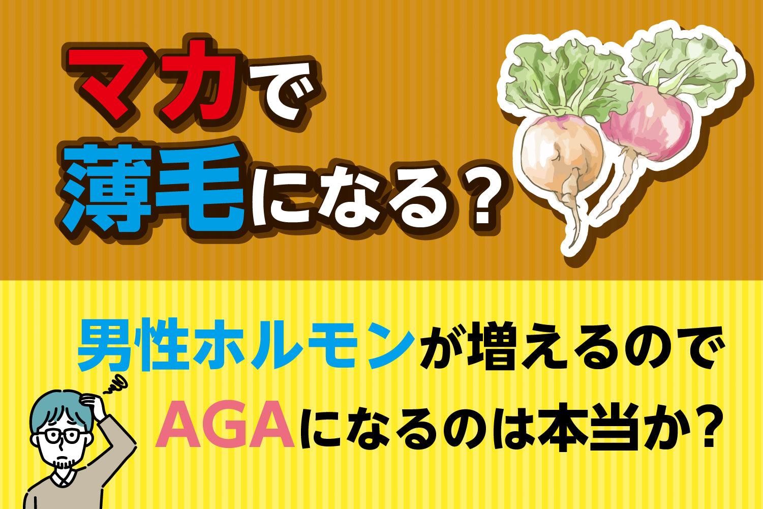 マカで薄毛になる？男性ホルモンが増えるのでAGAになるは本当か？