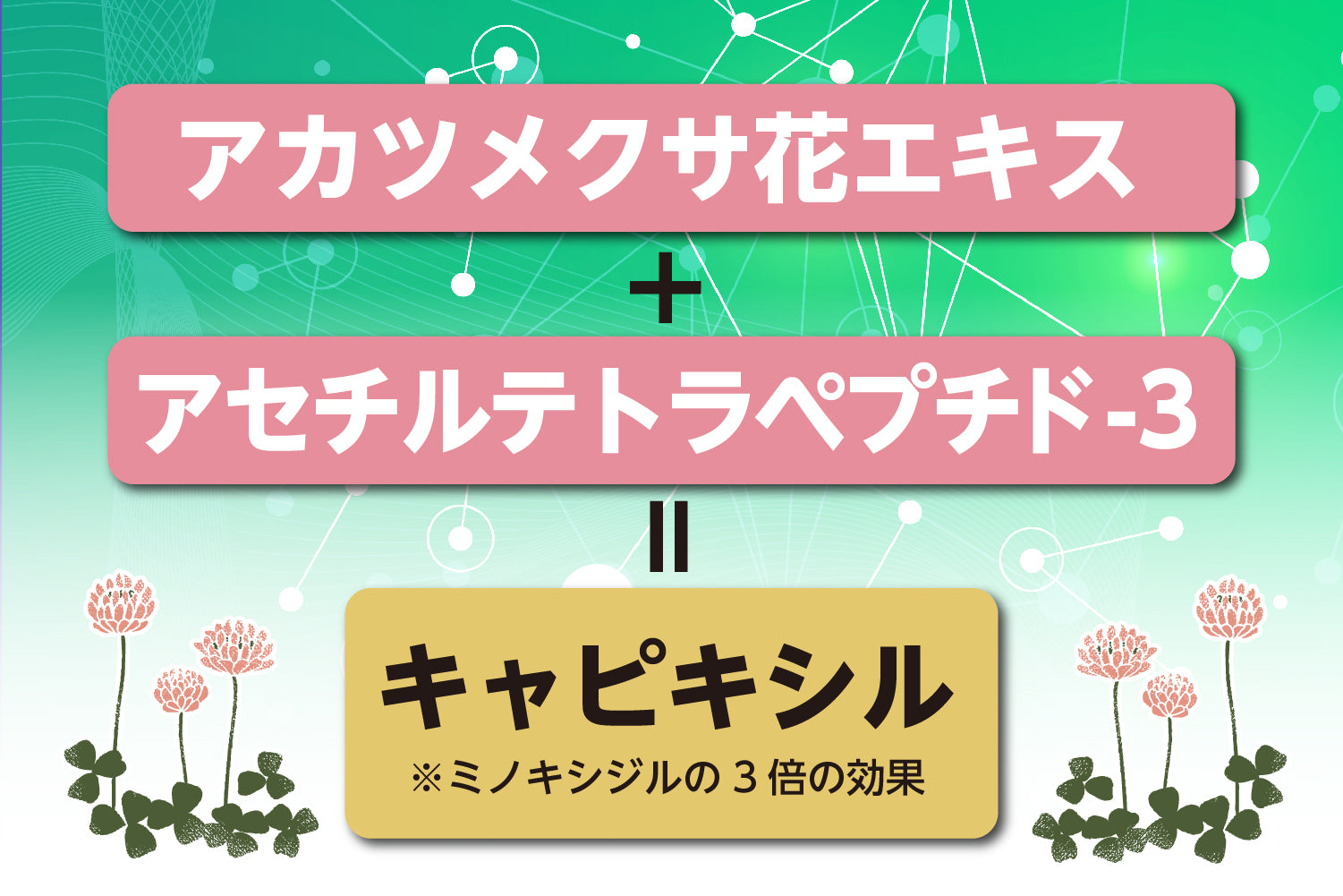 アカツメクサ花エキスとは育毛効果は？副作用と安全性についても解説！