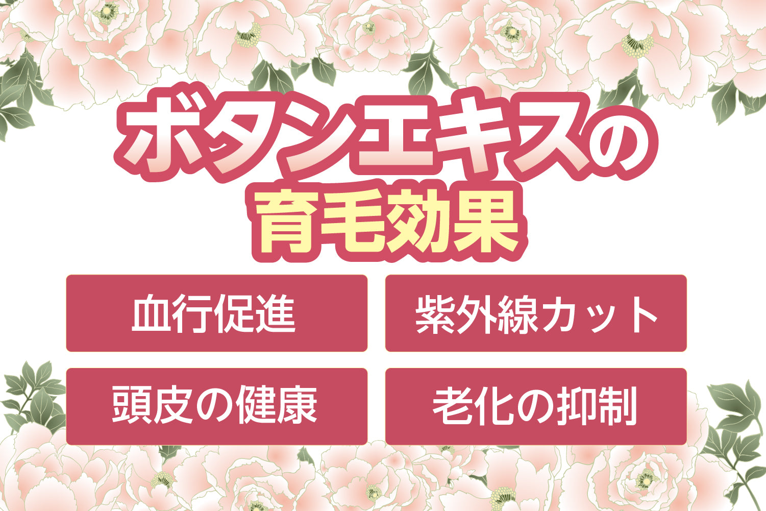 ボタンエキスの育毛効果とは？薄毛対策におすすめな理由を解説！