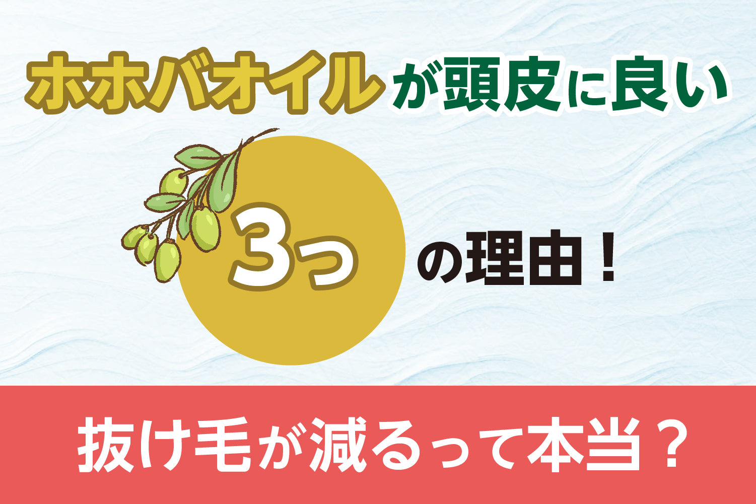 ホホバオイルが頭皮に良い3つの理由！抜け毛が減るって本当？