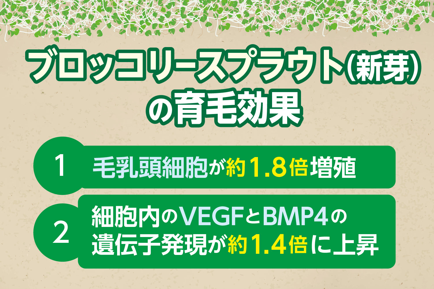 ブロッコリースプラウトに育毛効果はある？リーブ21がAGAに有効と発表！