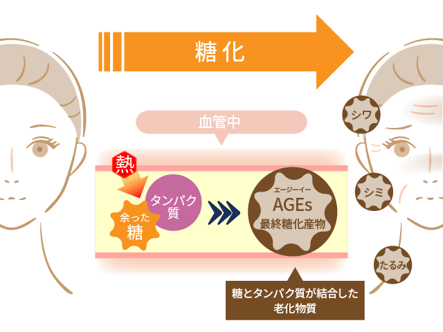 糖化とは？炭水化物や糖質の取り過ぎは薄毛の原因になる！
