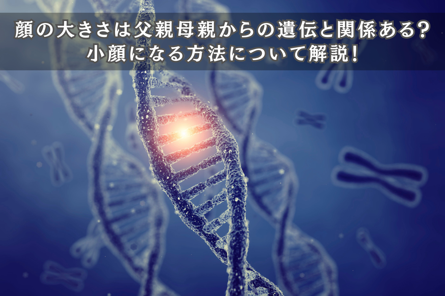 顔の大きさは父親母親からの遺伝と関係ある？小顔になる方法について解説！