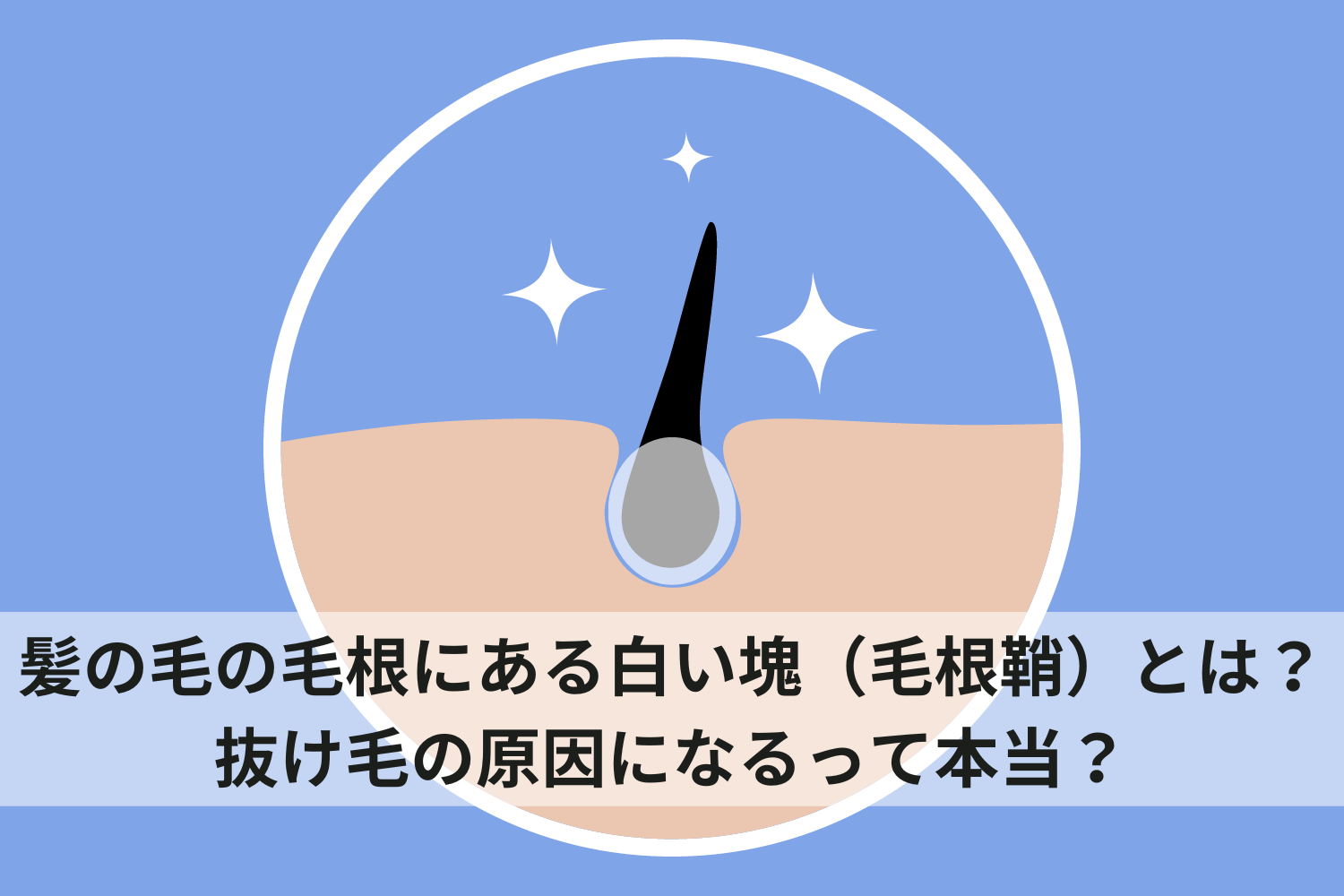 髪の毛の毛根にある白い塊(毛根鞘)とは?抜け毛の原因になるって本当? – ヘッドミント公式オンラインショップ