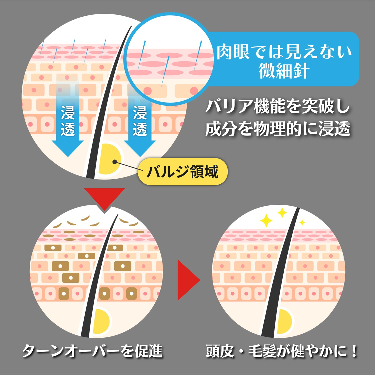 スポンジア（スピキュール/微細針）原料　3g